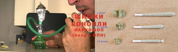 шишки Баксан