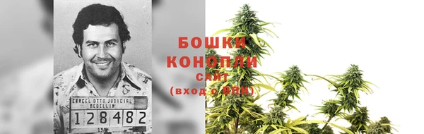 шишки Баксан