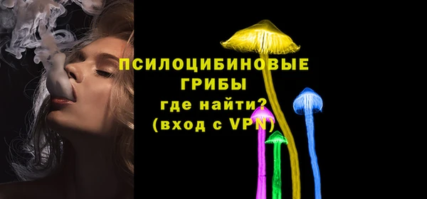 гидра Балахна
