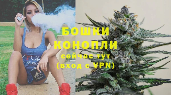 шишки Баксан