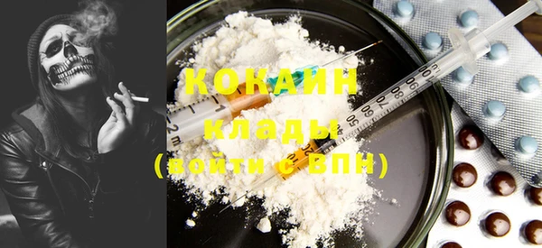 шишки Баксан