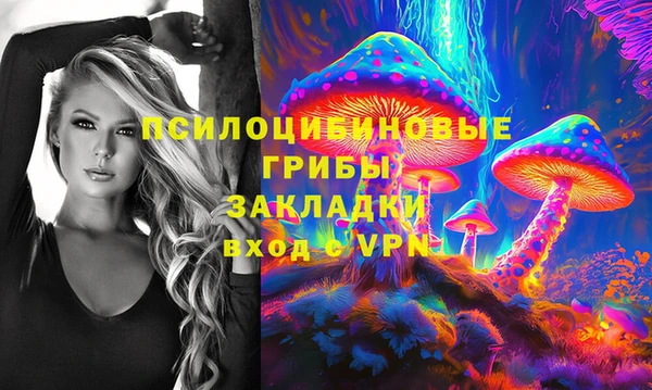гидра Балахна