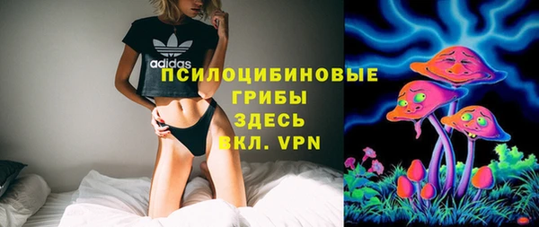 шишки Баксан